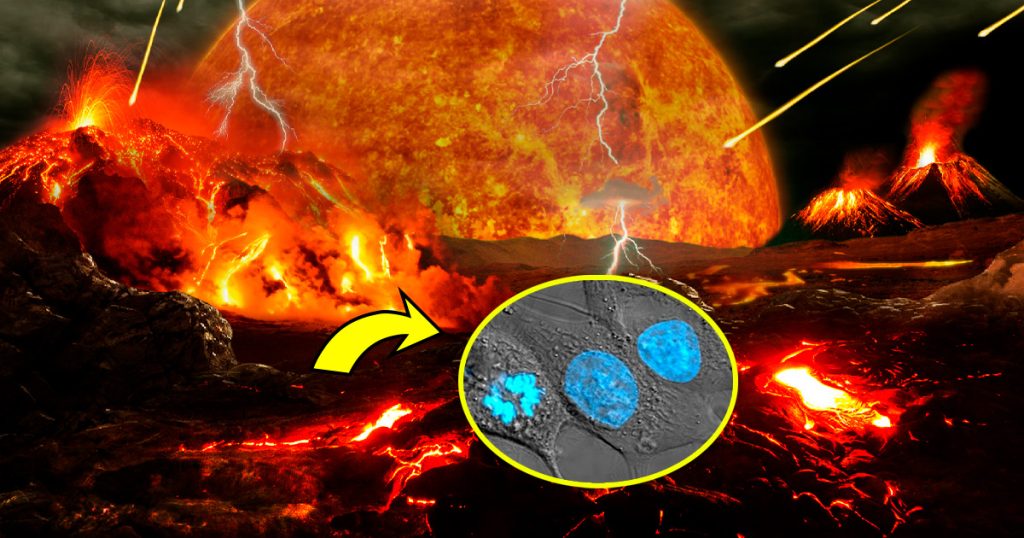 ¿Cómo fue el origen de la vida en la Tierra?, ¿Cómo empezó todo?