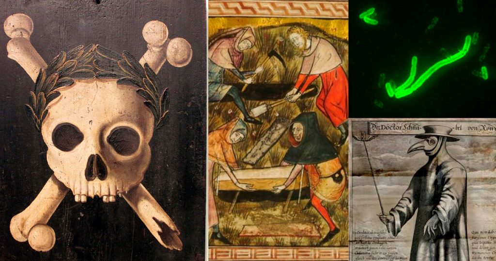 ¿Por qué murió tanta gente con la peste negra en el siglo XIV?